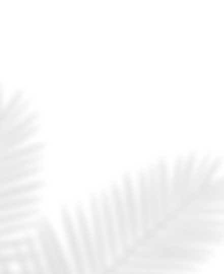 Touch Skill Palm Image