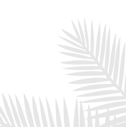 Touch Skill Palm Image